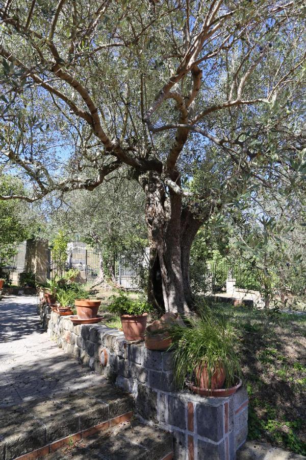 La Masseria Pietramarmo Caiazzo - App To Con Vista Exterior photo