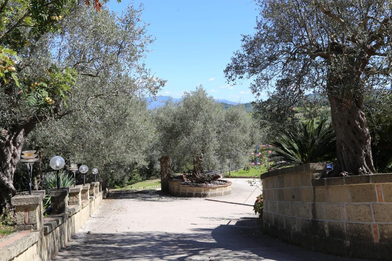 La Masseria Pietramarmo Caiazzo - App To Con Vista Exterior photo